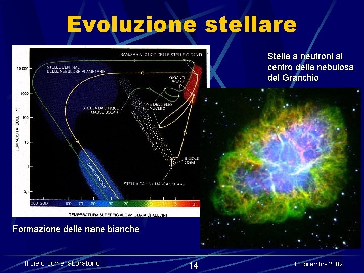 Evoluzione stellare Stella a neutroni al centro della nebulosa del Granchio Formazione delle nane