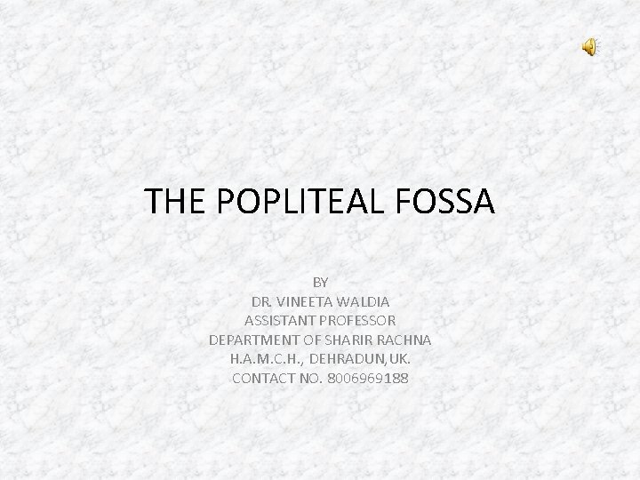 THE POPLITEAL FOSSA BY DR. VINEETA WALDIA ASSISTANT PROFESSOR DEPARTMENT OF SHARIR RACHNA H.