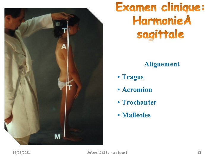 Alignement • Tragus • Acromion • Trochanter • Malléoles 14/06/2021 Université Cl Bernard Lyon