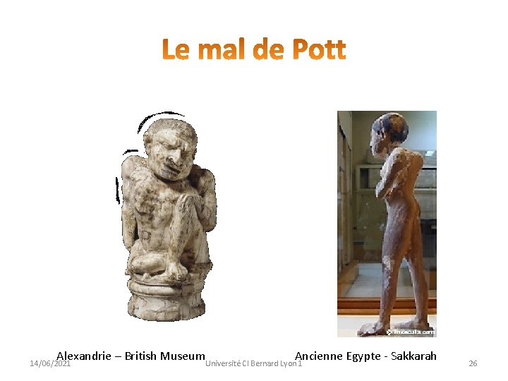 Alexandrie – British Museum 14/06/2021 Ancienne Egypte - Sakkarah Université Cl Bernard Lyon 1
