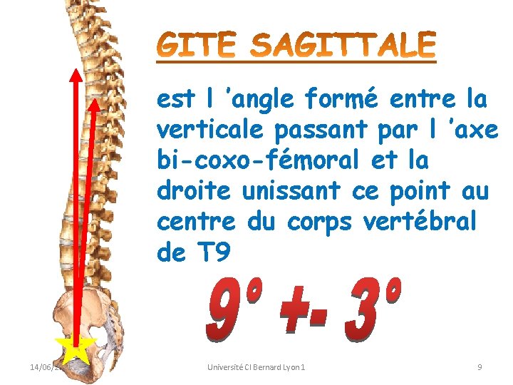 est l ’angle formé entre la verticale passant par l ’axe bi-coxo-fémoral et la