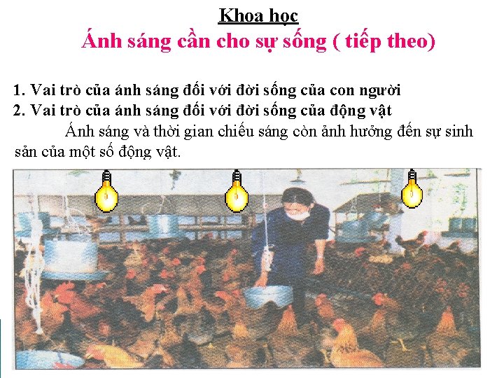 Khoa học Ánh sáng cần cho sự sống ( tiếp theo) 1. Vai trò