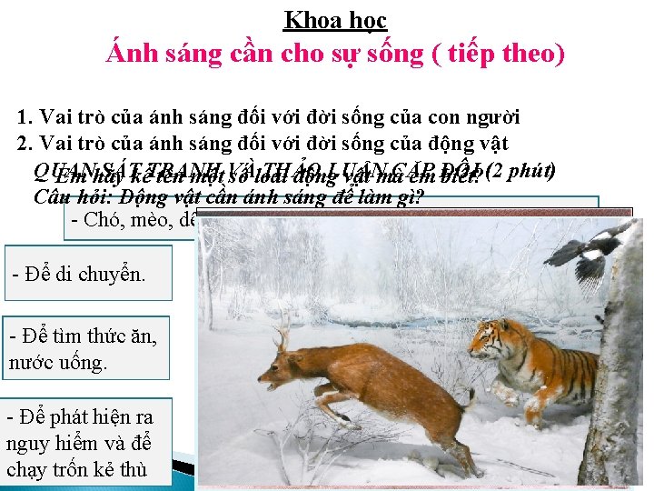 Khoa học Ánh sáng cần cho sự sống ( tiếp theo) 1. Vai trò