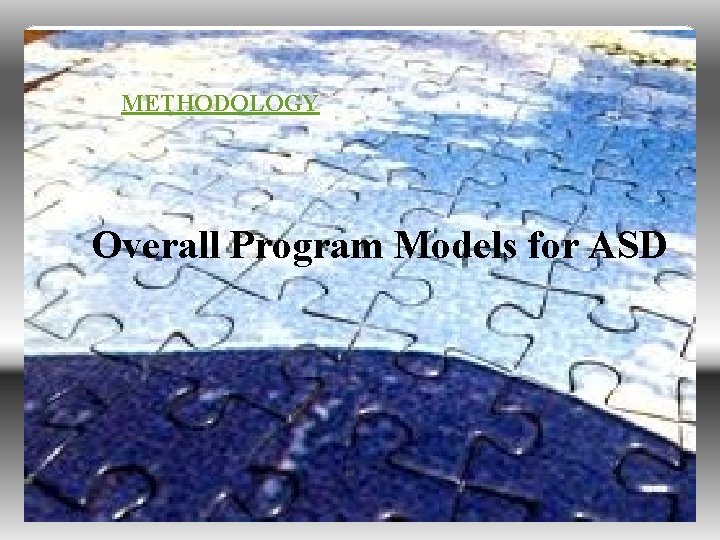 METHODOLOGY Overall Program Models for ASD 