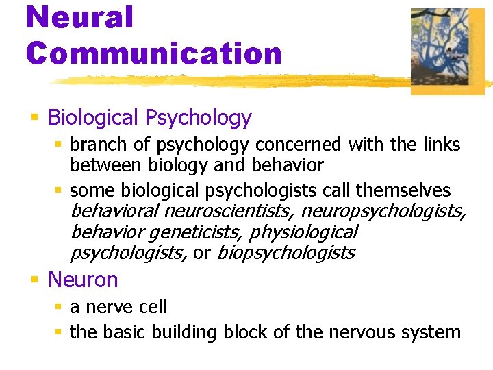 Neural Communication § Biological Psychology § branch of psychology concerned with the links between