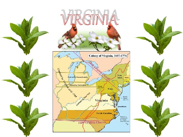 VIRGINIA 