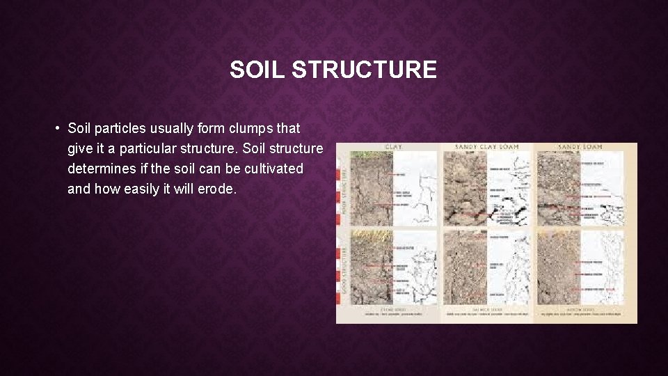 SOIL STRUCTURE • Soil particles usually form clumps that give it a particular structure.