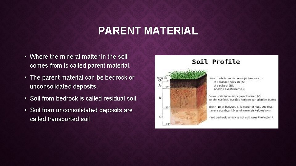 PARENT MATERIAL • Where the mineral matter in the soil comes from is called
