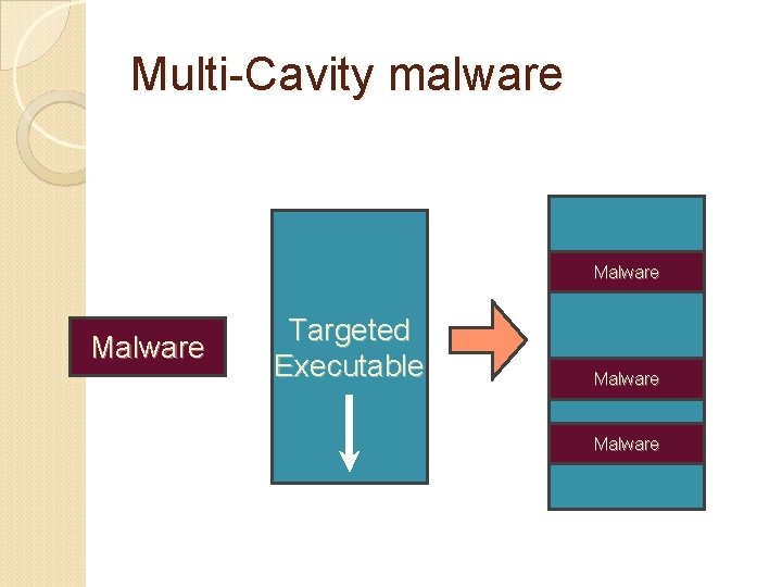 Multi-Cavity malware Malware Targeted Executable Malware 