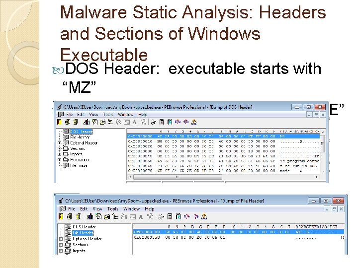 Malware Static Analysis: Headers and Sections of Windows Executable DOS Header: executable starts with