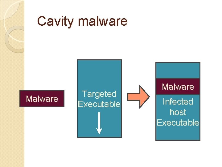 Cavity malware Malware Targeted Executable Malware Infected host Executable 
