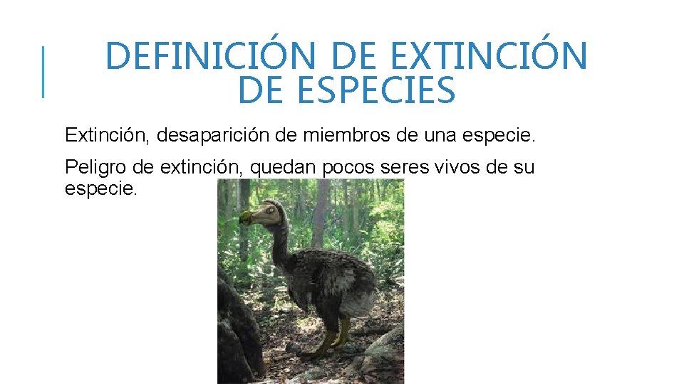 DEFINICIÓN DE EXTINCIÓN DE ESPECIES Extinción, desaparición de miembros de una especie. Peligro de