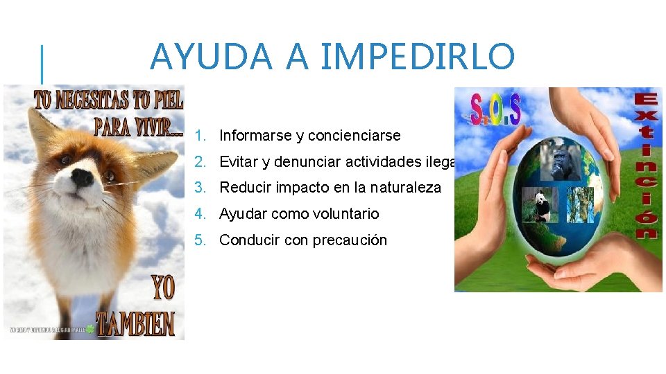 AYUDA A IMPEDIRLO 1. Informarse y concienciarse 2. Evitar y denunciar actividades ilegales 3.