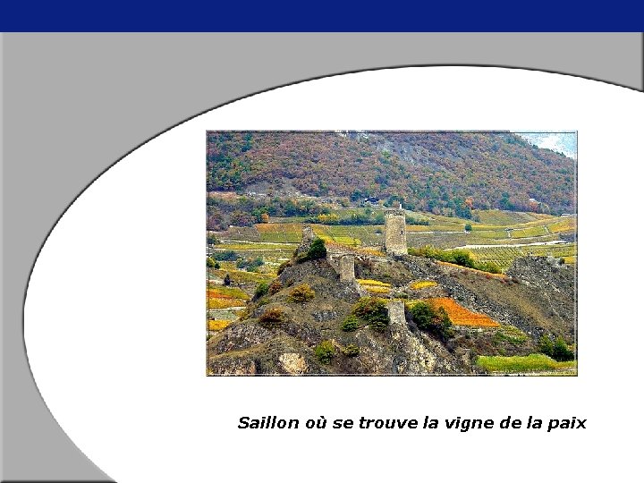 Saillon où se trouve la vigne de la paix 