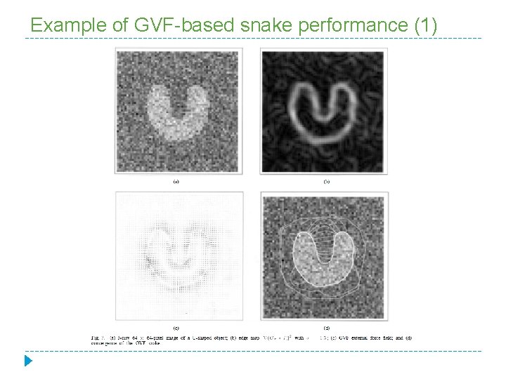 Example of GVF-based snake performance (1) 