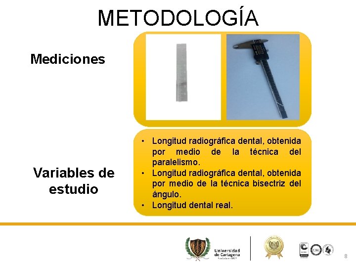 METODOLOGÍA Mediciones Variables de estudio • Longitud radiográfica dental, obtenida por medio de la