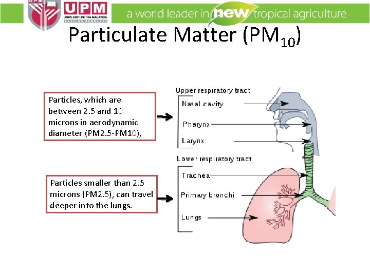 Particulate Matter (PM 10) Particles, which are between 2. 5 and 10 microns in