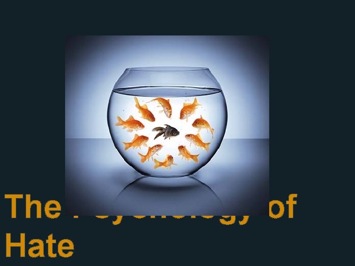 The Psychology of Hate 
