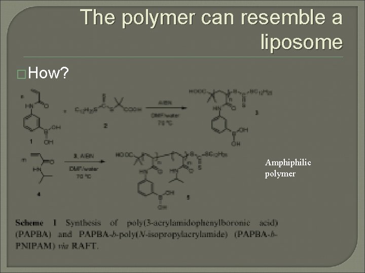 The polymer can resemble a liposome �How? Amphiphilic polymer The polymer can resemble a liposome �How? Amphiphilic polymer