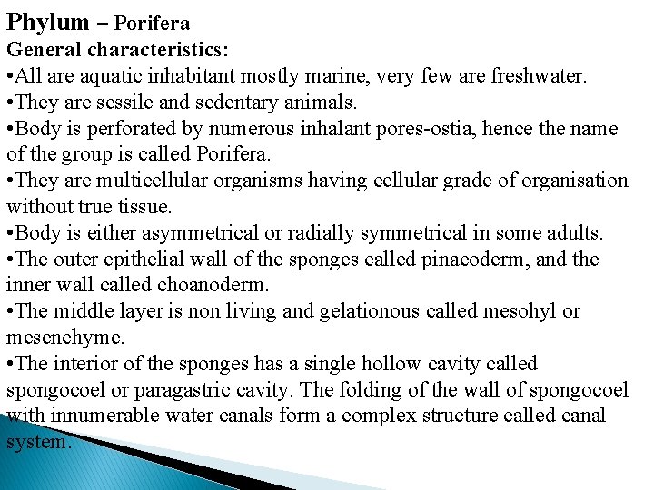 Phylum – Porifera General characteristics: • All are aquatic inhabitant mostly marine, very few