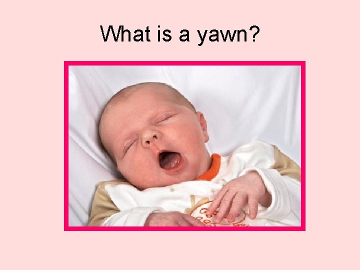 What is a yawn? 
