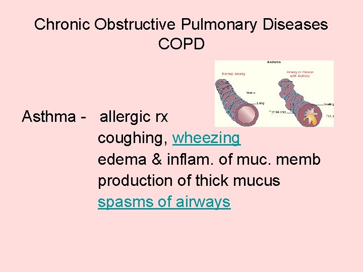 Chronic Obstructive Pulmonary Diseases COPD Asthma - allergic rx coughing, wheezing edema & inflam.