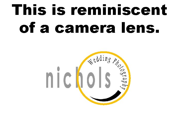 This is reminiscent of a camera lens. 