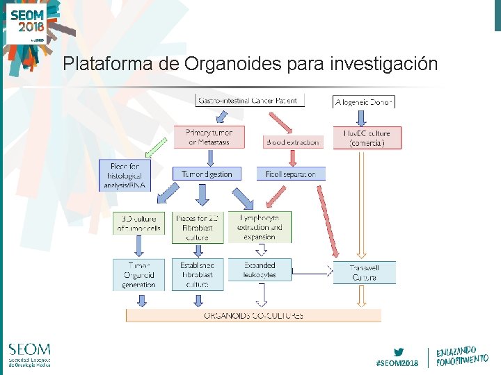 Plataforma de Organoides para investigación #SEOM 2018 