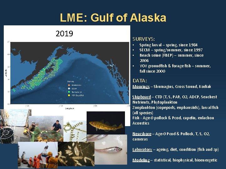 LME: Gulf of Alaska 2019 SURVEYS: • • Spring larval – spring, since 1984 LME: Gulf of Alaska 2019 SURVEYS: • • Spring larval – spring, since 1984