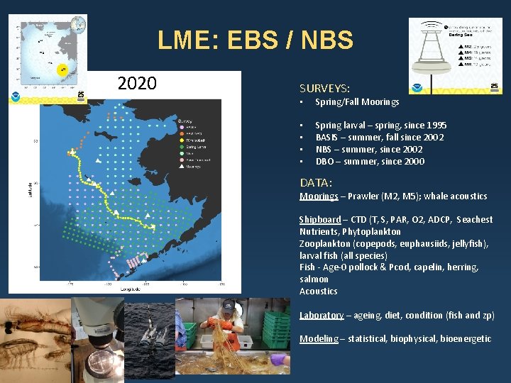 LME: EBS / NBS 2020 SURVEYS: • Spring/Fall Moorings • • Spring larval – LME: EBS / NBS 2020 SURVEYS: • Spring/Fall Moorings • • Spring larval –