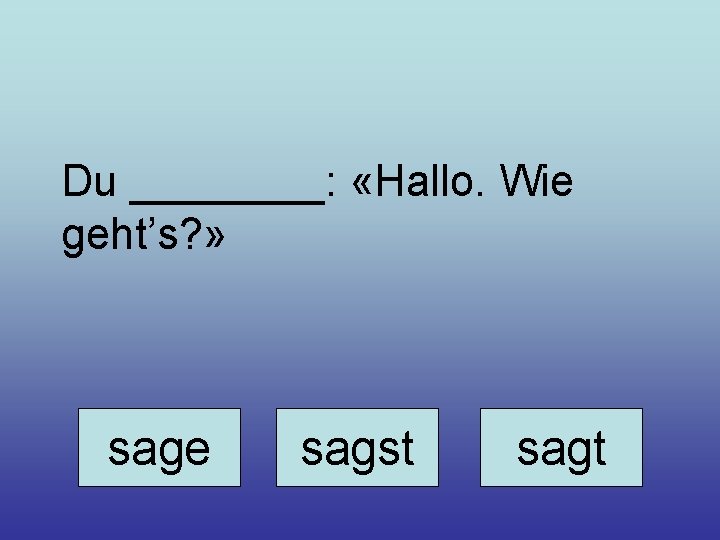 Du ____: «Hallo. Wie geht’s? » sage sagst sagt 