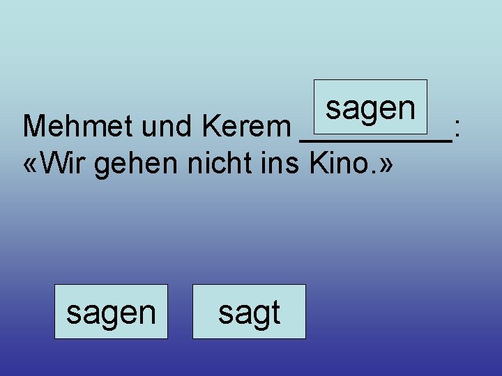 sagen Mehmet und Kerem _____: «Wir gehen nicht ins Kino. » sagen sagt 