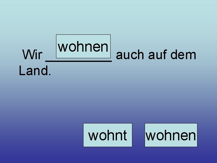 wohnen Wir _____ auch auf dem Land. wohnt wohnen 