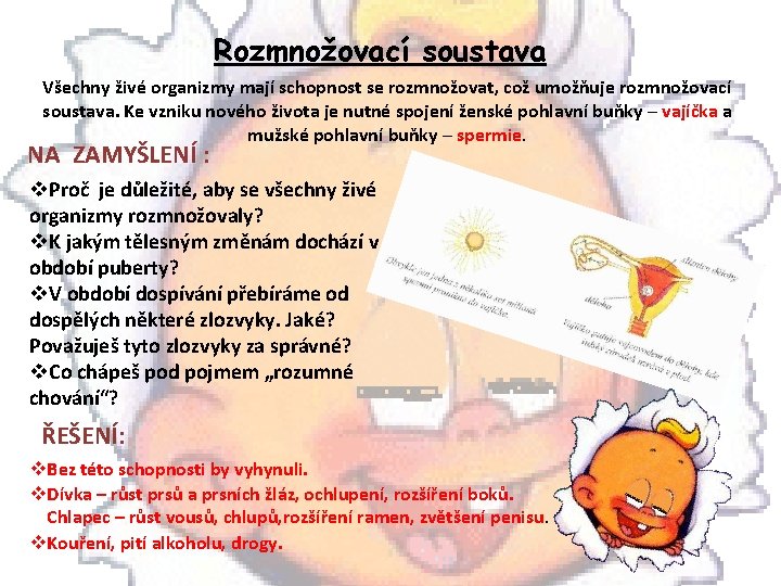 Rozmnožovací soustava Všechny živé organizmy mají schopnost se rozmnožovat, což umožňuje rozmnožovací soustava. Ke