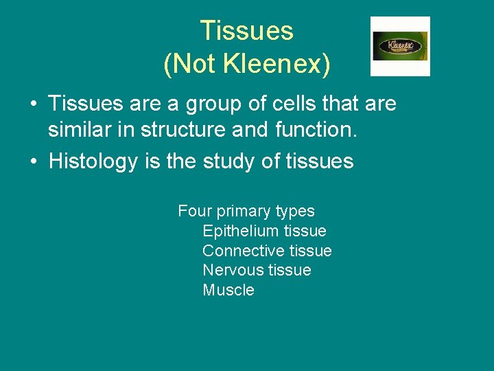 Tissues (Not Kleenex) • Tissues are a group of cells that are similar in