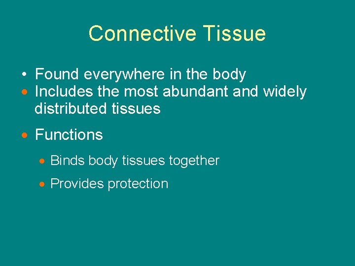 Connective Tissue • Found everywhere in the body · Includes the most abundant and