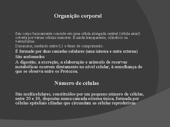 Organição corporal Seu corpo basicamente consiste em uma célula alongada central (célula axial) coberta