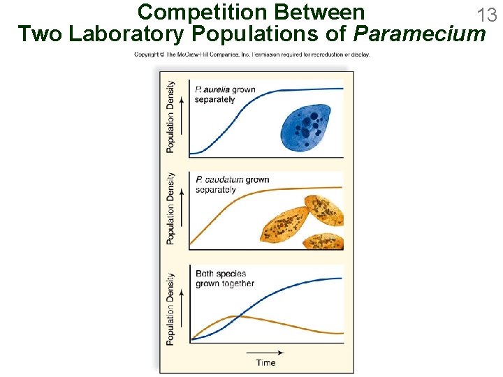 Competition Between 13 Two Laboratory Populations of Paramecium 