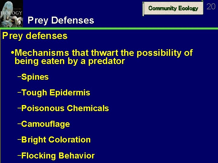 Community Ecology Prey Defenses Prey defenses Mechanisms that thwart the possibility of being eaten