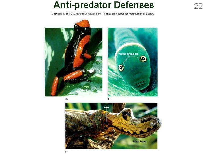 Anti-predator Defenses 22 