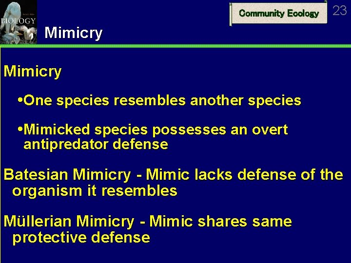 Community Ecology 23 Mimicry One species resembles another species Mimicked species possesses an overt