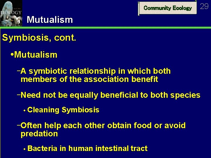 Community Ecology 29 Mutualism Symbiosis, cont. Mutualism A symbiotic relationship in which both members