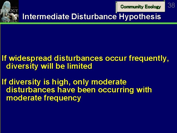 Community Ecology 38 Intermediate Disturbance Hypothesis If widespread disturbances occur frequently, diversity will be