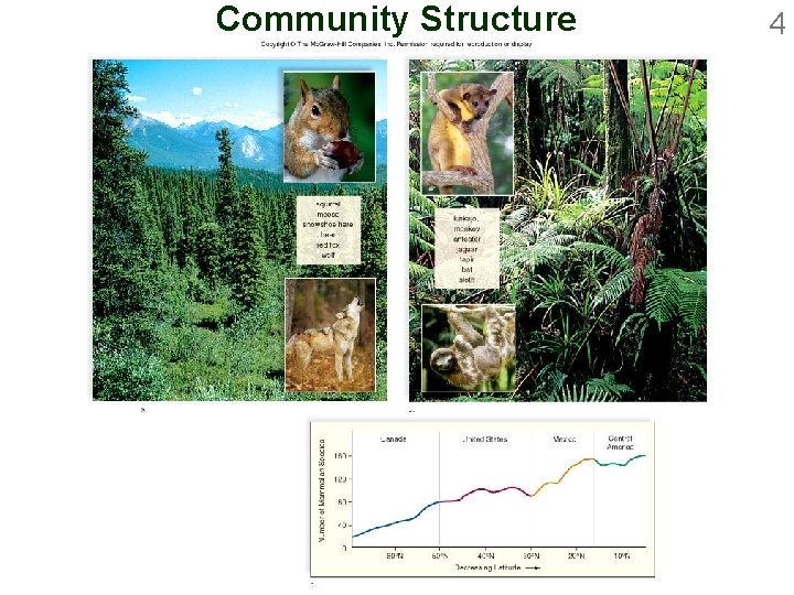 Community Structure 4 