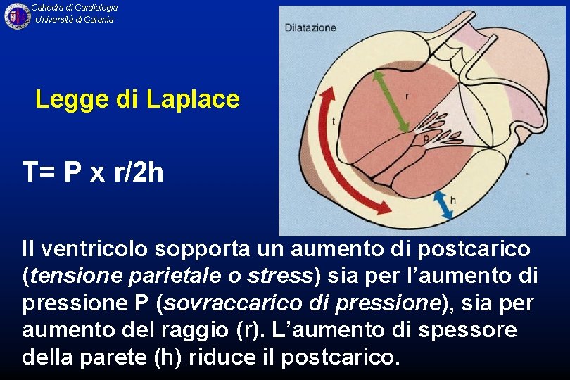 Cattedra di Cardiologia Università di Catania Legge di Laplace T= P x r/2 h