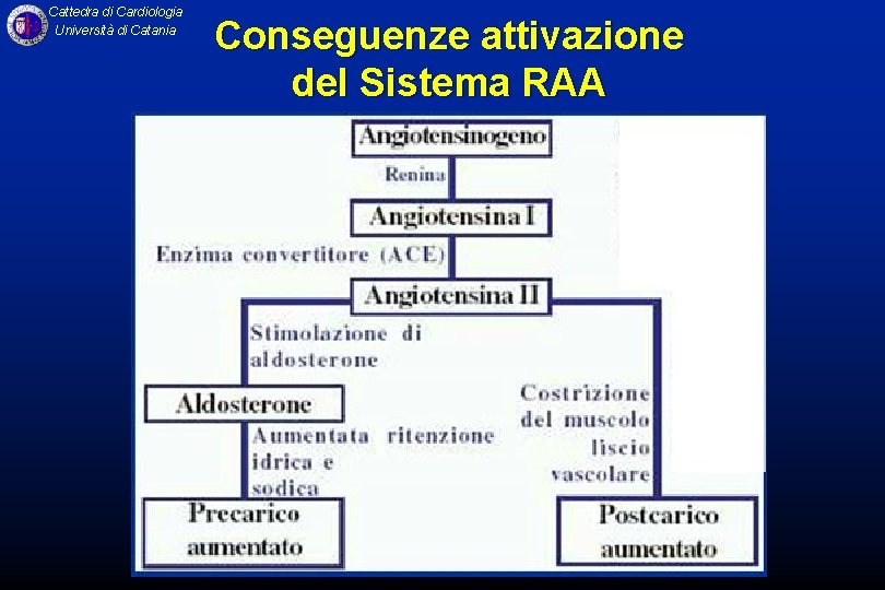 Cattedra di Cardiologia Università di Catania Conseguenze attivazione del Sistema RAA 