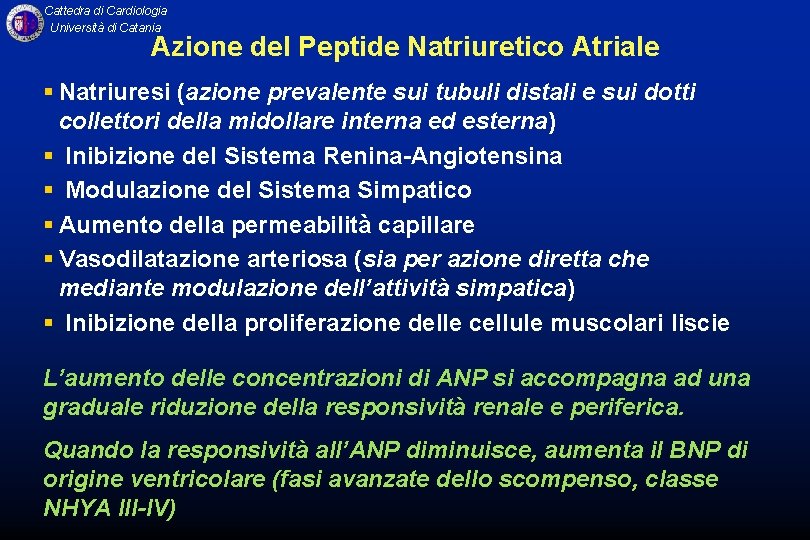 Cattedra di Cardiologia Università di Catania Azione del Peptide Natriuretico Atriale § Natriuresi (azione
