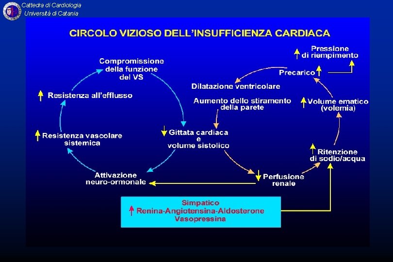 Cattedra di Cardiologia Università di Catania 