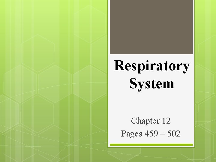 Respiratory System Chapter 12 Pages 459 – 502 