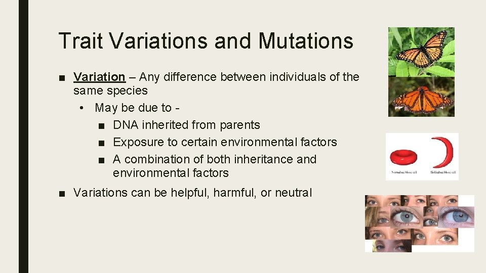 Trait Variations and Mutations ■ Variation – Any difference between individuals of the same